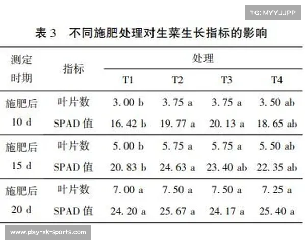 探索中青超平台独特优势与鲜明特点的全景分析 探索中青超平台独特优势与鲜明特点的全景分析